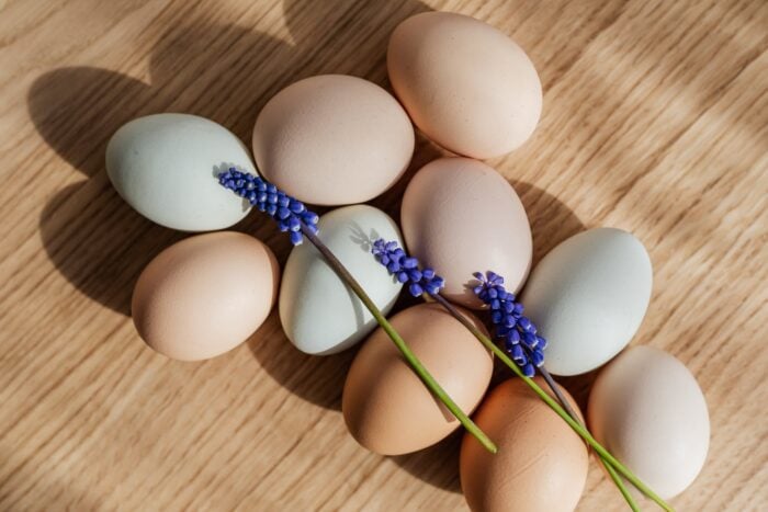 Знайшла найкращий рецепт закуски із яєць: корисно та швидко