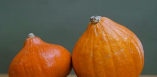 Городник розповів, як визначити, що гарбуз можна зривати