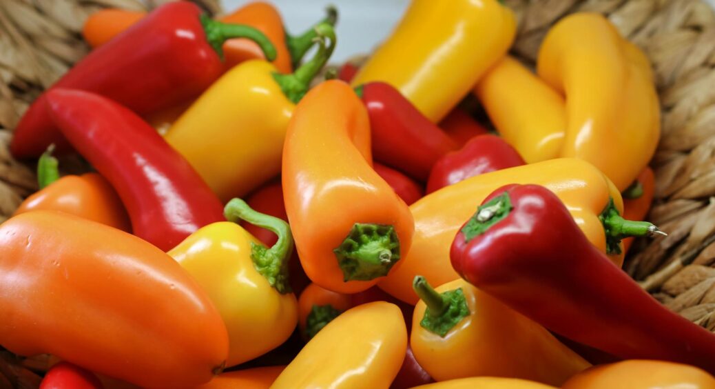 Якщо посадити солодкий перець у ці дні в березні, розсада буде міцною та кремезною: врожай збираю відрами 