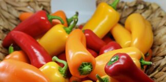 Експерти назвали найсприятливіші дні для висадки перцю у березні