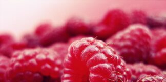 Садівник розповів, як простимулювати родючість малини у червні