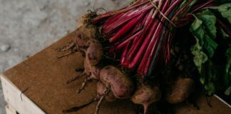 Дачники розповіли, як виростити ідеально червоний буряк 