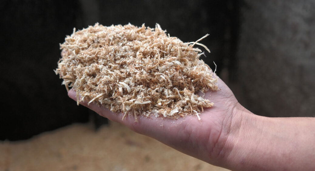 Тирсу цих дерев не можна використовувати для мульчі – рослини відійдуть у “вічний сон”: думка професіоналів 