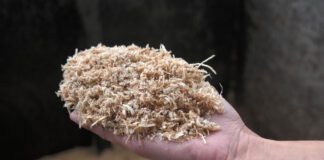 Городники розповіли, тирса яких дерев не підходить для мульчування