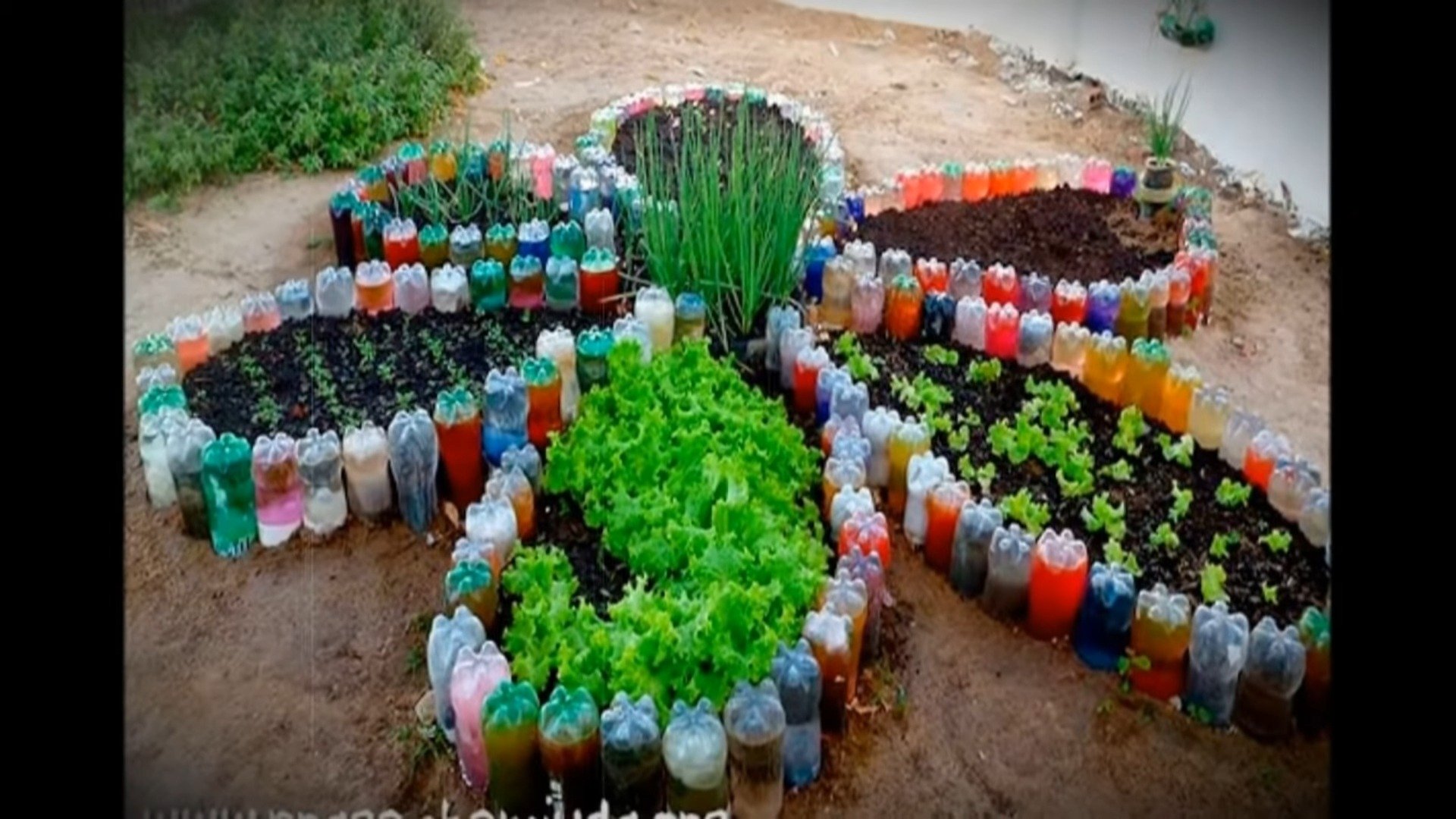 Ідеї для клумби з пластикових пляшок