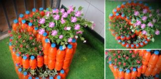 Ідеї для клумби з пластикових пляшок