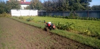 Городники розповіли про лайфхак, який замінить перекопування городу