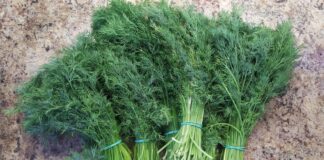 Як пришвидшити ріст зелені на підвіконні