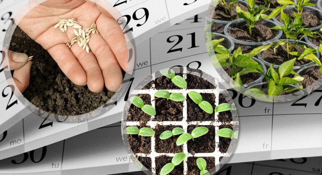 Наближається 3 заборонених дня для всіх дачників: землю не можна ні копати, ні розпушувати, ні поливати 