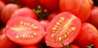 Як правильно зібрати насіння помідорів