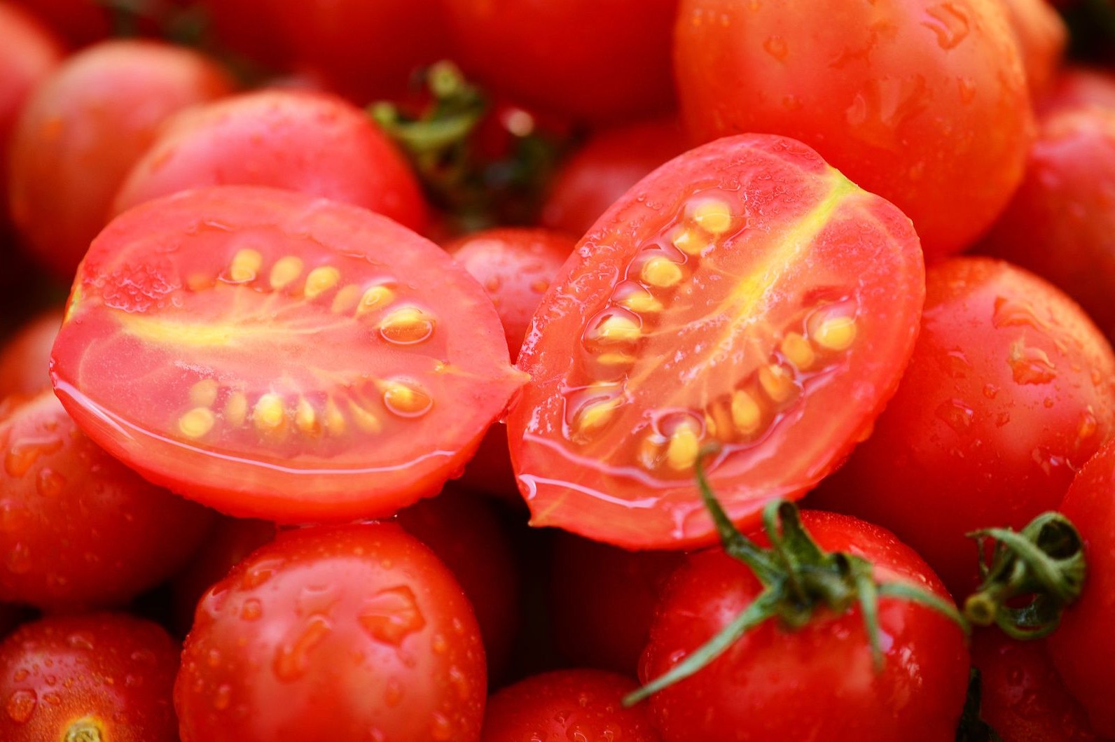 Як за хвостиками томатів обрати найсолодші плоди