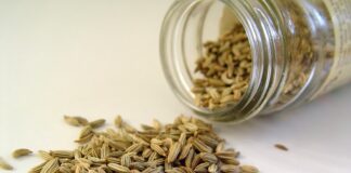 Як підвищити врожайність кропу