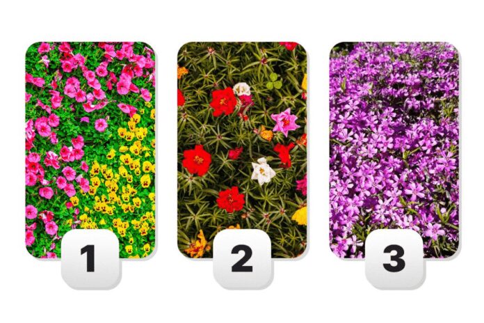 Психологічний тест на задоволення від життя: оберіть свою клумбу Психологічний тест на задоволення від життя: оберіть свою клумбу