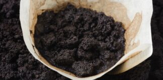 Експерти розповіли, як правильно розпушити землю після зими