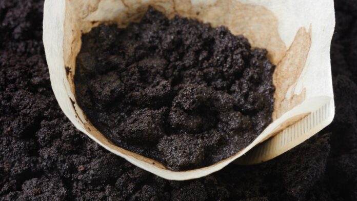 Експерти розповіли, як правильно розпушити землю після зими