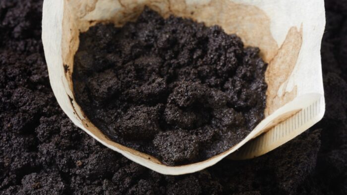 Експерти розповіли, як удобрювати город за допомогою кавової гущі та яку користь вона дає рослинам