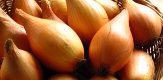 Навіщо обробляти цибулю содою