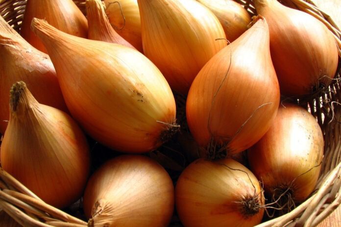 Навіщо обробляти цибулю содою Навіщо обробляти цибулю содою