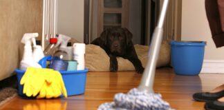 Як підтримувати чистоту в домі