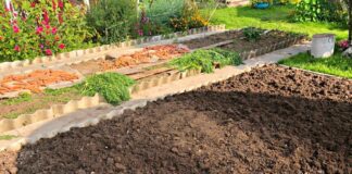 Що закопати в ґрунті, щоб підвищити його родючість
