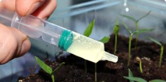 Експерти назвали 5 добрив. якими краще не користуватися 