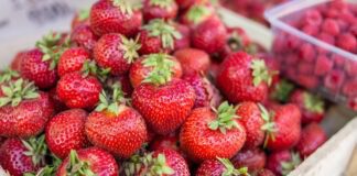 Найважливіша обробка полуниці навесні