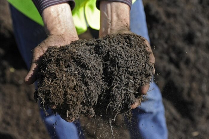 Простий спосіб зробити ґрунт пухким і родючим без перекопування – що потрібно для цього насправді