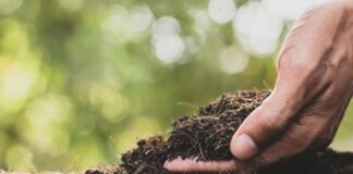 Як зробити ґрунт пухким