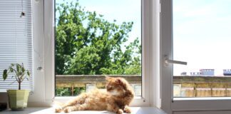 Експерти розповіли, як відмити вікна до кришталевого блиску