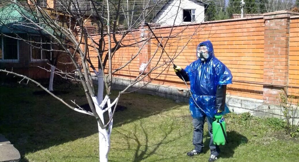 У 2026 жодного натяку на мох та лишайники на деревах не буде: беру 500 г на 10 літрів – і шурую в сад 