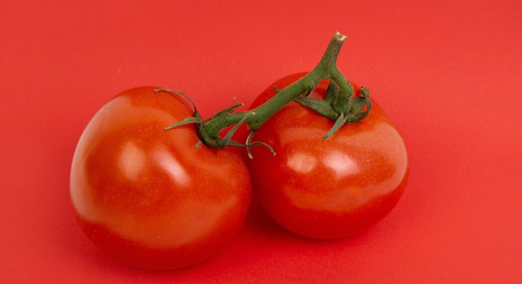 2 сорти томатів, які хоче посадити моя теща не заради врожаю, а щоб здивувати сусідів: ох ці жіночі штучки 