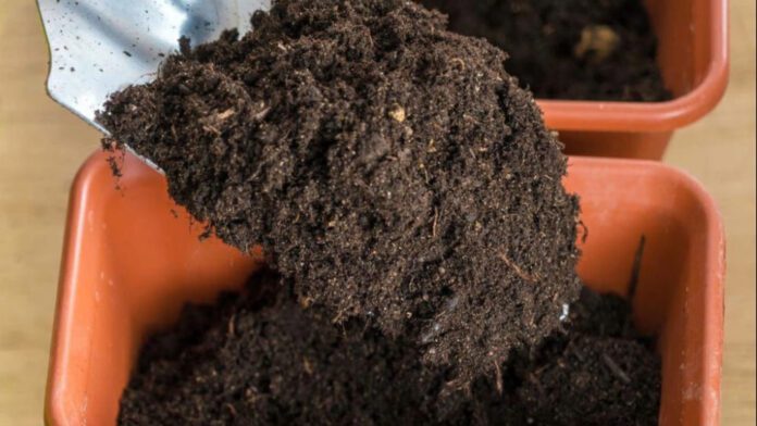 Чим підживити ґрунт після збору врожаю картоплі