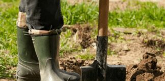 Городник розповів, як зберегти врожайність городу на 70-100 років