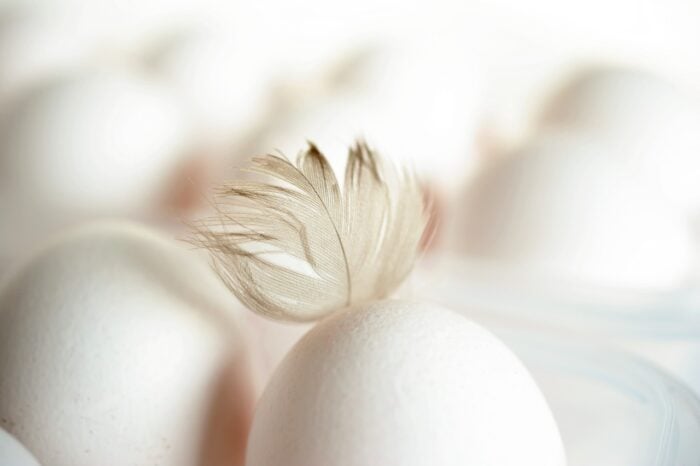 Експерти попереджають: чому не можна купляти яйця категорії С0