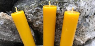 Як обігріти теплицю навесні