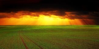 Езотерик розповів, як привабити гроші у День весняного рівнодення