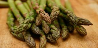 Як виростити розсаду спаржі з насіння: корисні поради