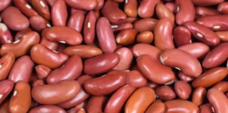 Рецепт квасолевого супу на копчених ребрах: справжня смакота