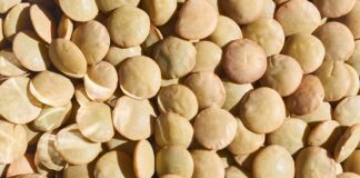 Смачний рецепт пісної сочевиці від шеф-кухаря: готується елементарно