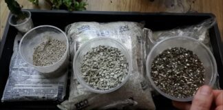 Городник розповів, навіщо посипати перлітом город