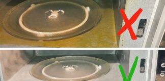 Секрети успішного очищення мікрохвильовки: майстер-клас від спеціаліста