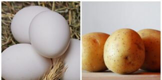 Експерт пояснив, чому слід класти шкаралупу і лушпайки бульби в лунки до овочів