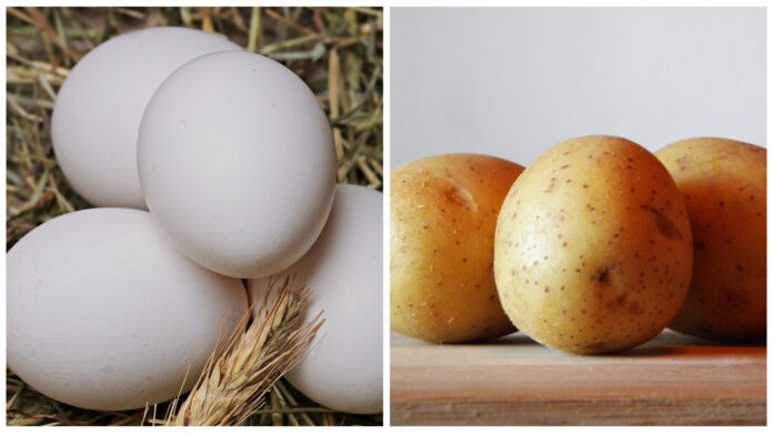 Експерт пояснив, чому слід класти шкаралупу і лушпайки бульби в лунки до овочів