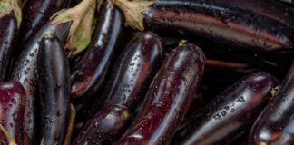 Городники назвали найкращі методи догляду за баклажанами