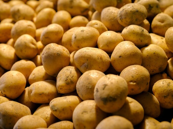 Поради садівника: як отримати якісний врожай картоплі без підголівлі