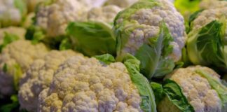Дачники розповіли, як виростити цвітну капусту, як на картинках