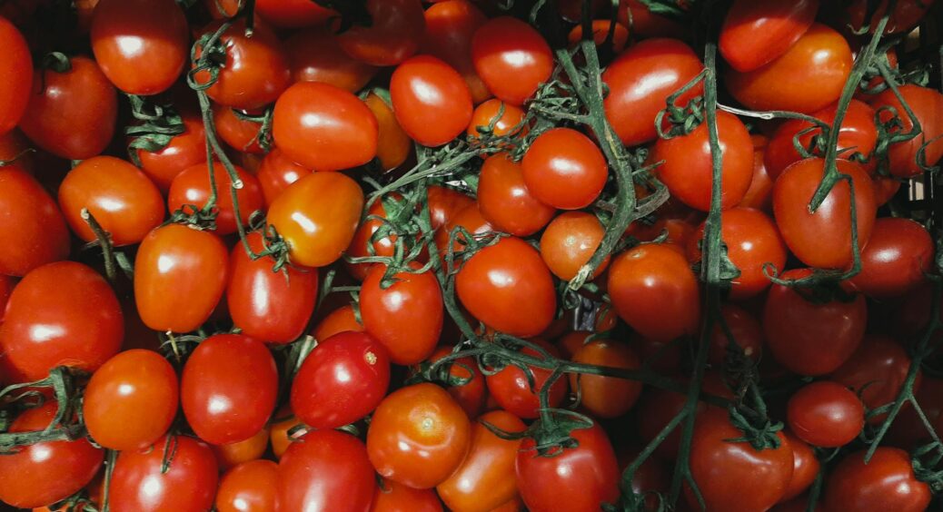 Сусід назвав 4 речі, які не люблять томати: поради, перевірені роками. Не роблю цих помилок і вам не раджу 