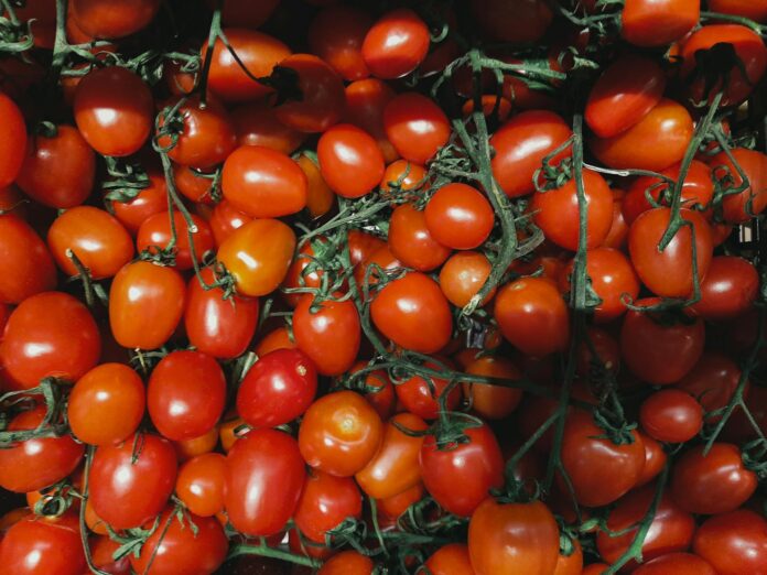 Рецепт потужного добрива для томатів