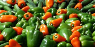 Садівники назвали найкращі народні засоби для підгодівлі перцю