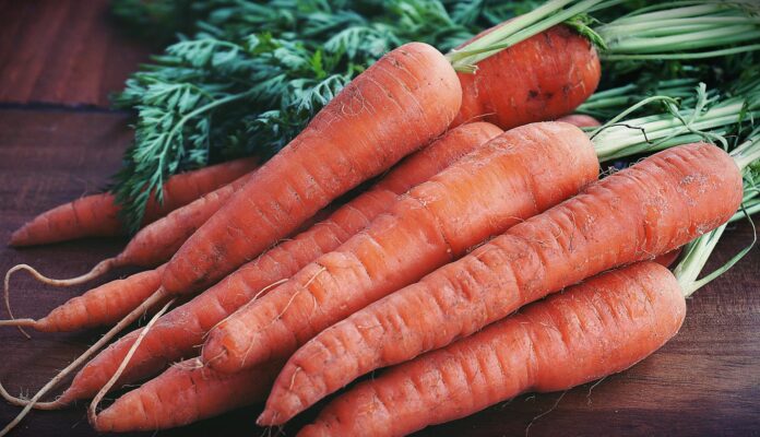 Городники розповіли, коли треба збирати моркву 